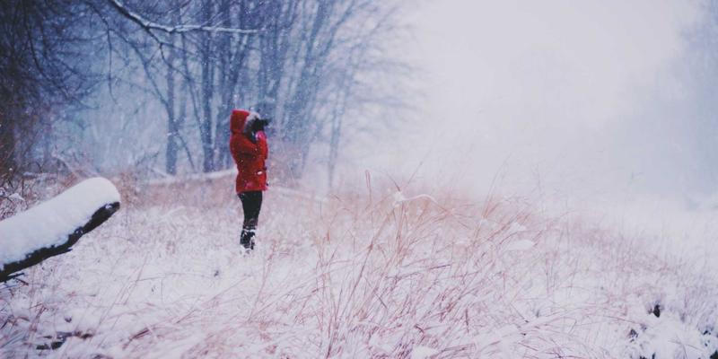 2024年最值得期待的三款国产新车：技术参数、预售价格与竞品分析