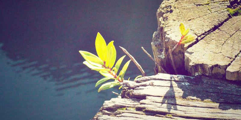 汽车大灯进化论：从LED到激光，实测照射距离与智能避让，谁才是夜行王者？